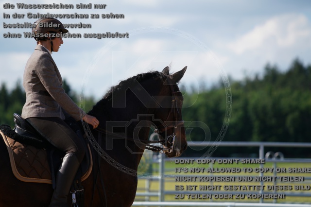 s_K3F04966.JPG